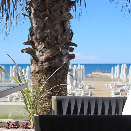 Paloma Perissia Side