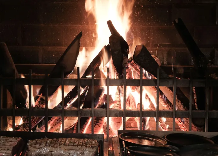 Paloma Perissia Feriested