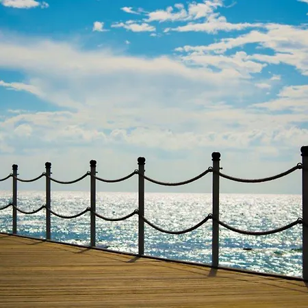 Paloma Perissia 锡德