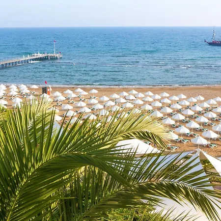 Paloma Perissia سيدي